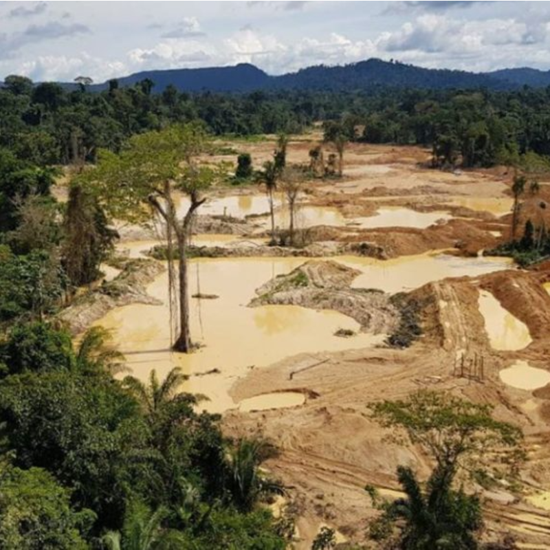Floresta Amazônica perdeu quase 100 hectares por hora em 2020