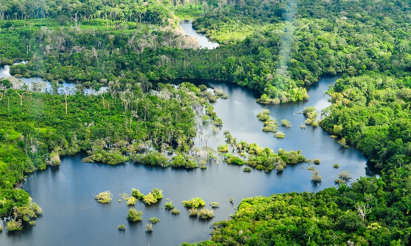 Brasil, Indonésia e Congo se unem para proteger as florestas tropicais 